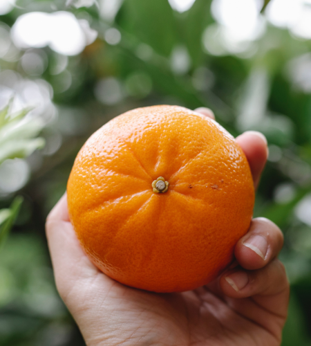 diseno-sin-titulo-2023-01-12t135907-714