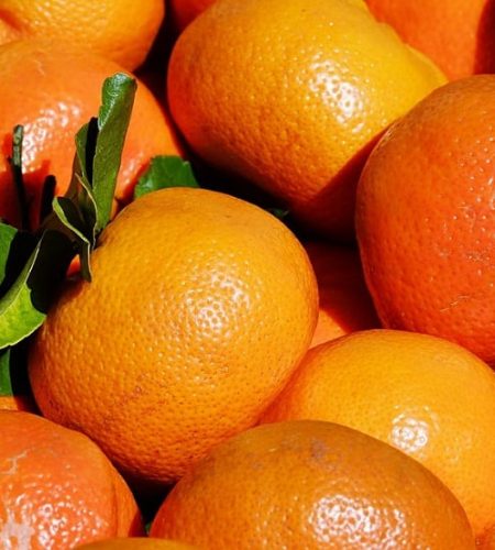 tipos-diferentes-clementinas